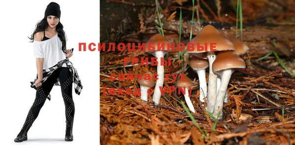 мескалин Бугульма