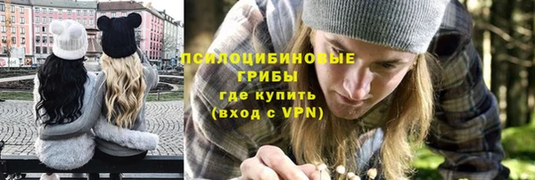 наркотики Бородино
