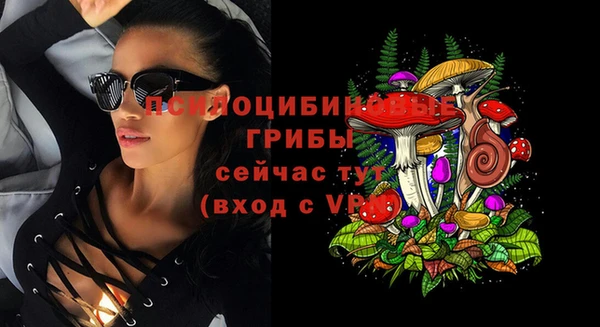 наркотики Бородино