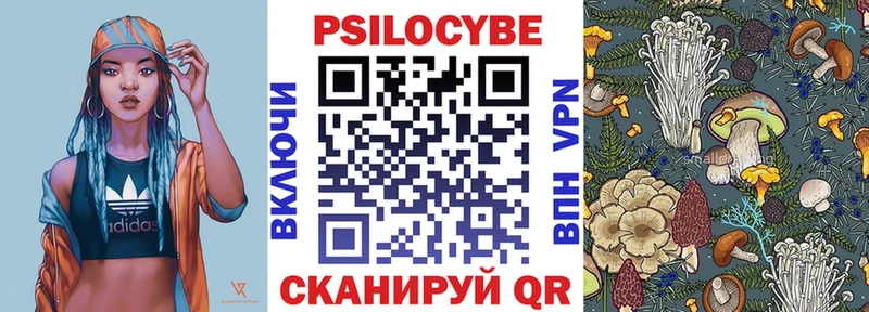 Купить закладки  Володарск  Псилоцибиновые грибы ЛСД 